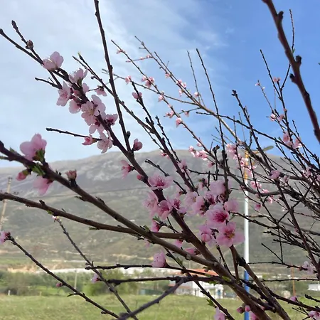 בית הארחה Panoramic View Xhanari Tepelene