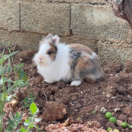 Panoramic View Xhanari בית הארחה Tepelene