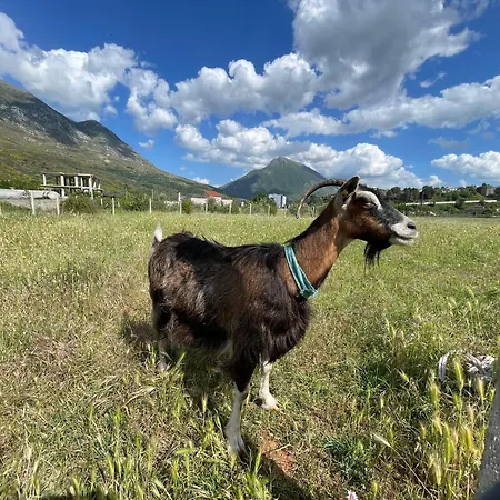 בית הארחה Panoramic View Xhanari