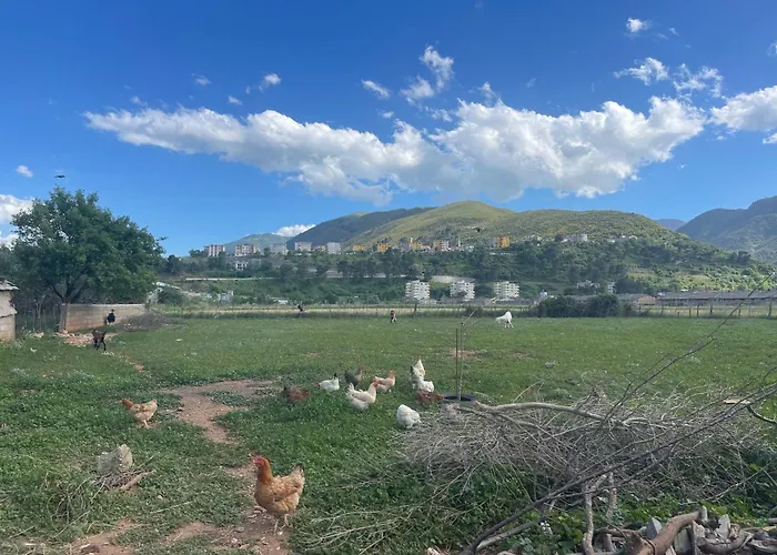 Pensionat Panoramic View Xhanari Tepelene