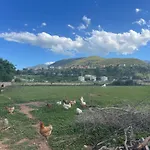 Πανσιόν Panoramic View Xhanari Τεπελένι