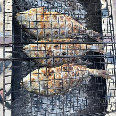 Panoramic View Xhanari