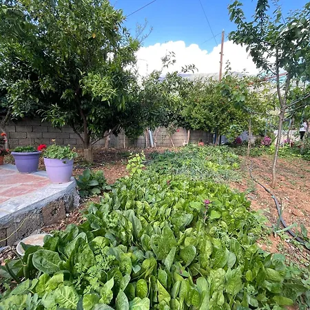 Panoramic Vew Xhanari * Tepelenë