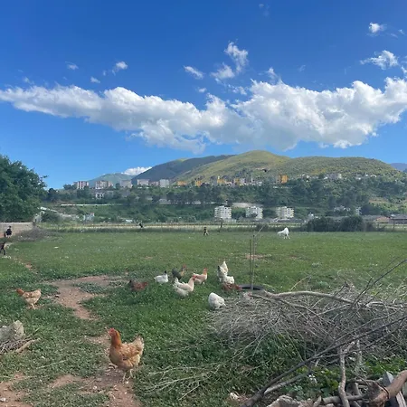 ゲストハウス Panoramic Vew Xhanari Tepelenë