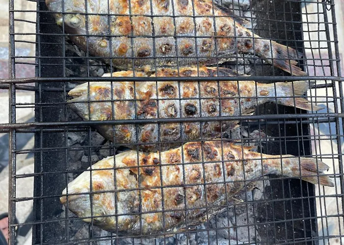 Panoramic View Xhanari