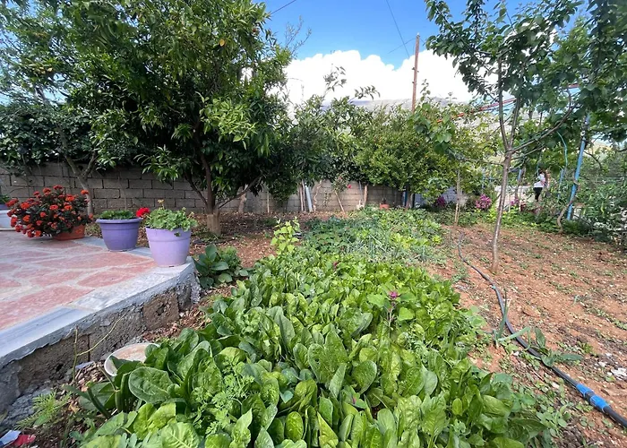 Panoramic View Xhanari 3* Tepelene