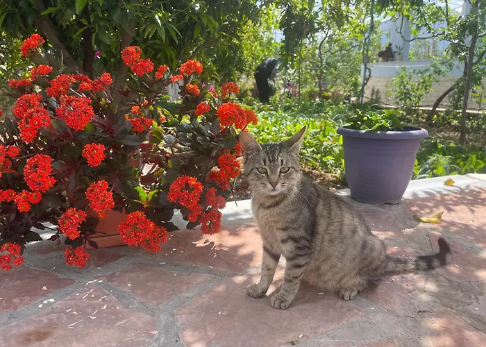 Panoramic View Xhanari