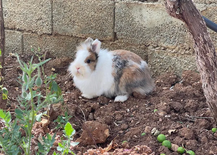 Panoramic View Xhanari Affittacamere Tepelene